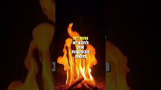 הרב שלום סבג - שיעורי וידאו - הרב שלום סבג – להחזיק עם מישהו שיסכים עם השגעון שלך ✨