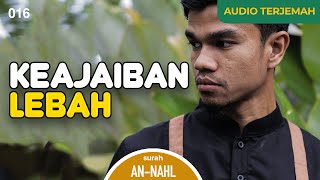 Download lagu Surah AN-NAHL   AUDIO TERJEMAH INDONESIA - Muzammil Hasballah mp3