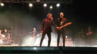 Usar y tirar. M clan