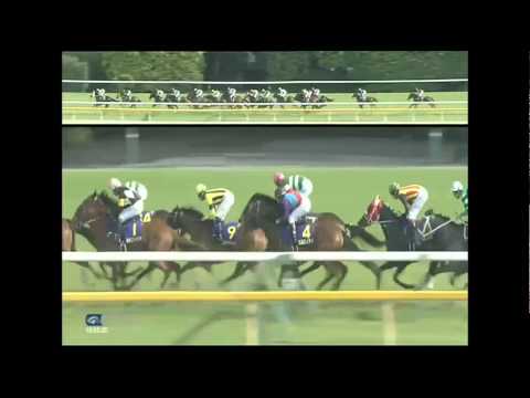 2015.05.24 Yushun Himba (Japanese Oaks) - Mikki Queen