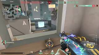 Spotlight Clip