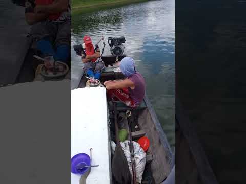  pesca no Rio Juruá 