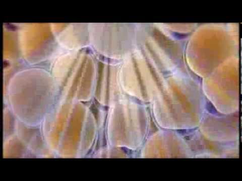 CoolSculpting by Amerejuve MedSpa