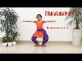 Nattadavu 1 8 Nattadavu Bharatanatyam Bharatanatyam Adavu Nattu Adavu Naattadavu