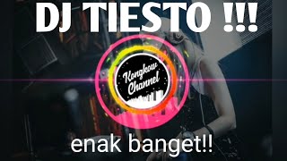 Download lagu DJ TIESTO mp3