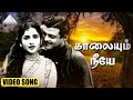 காலையும் நீயே HD Video Song தேன்நிலவு ஜெமினி �