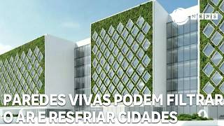 Miniatura do vídeo