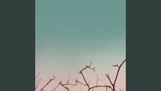 Slaar Skaar (Asger Baden Version)