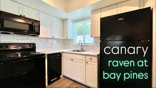 Raven at Bay Pines | Canary | 1Bed, 1Bath | 550 sf | St Pete, FL