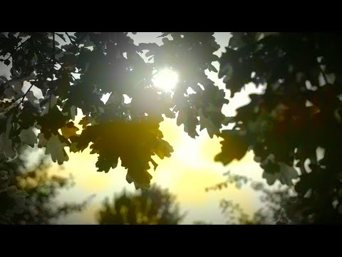 2021-Mana Rotaļa-Mežameitas-Maldugunis