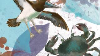 圖畫故事篇 雅美語6-kalwalwong kano kalolong kapik (小鳥與螃蟹相爭)