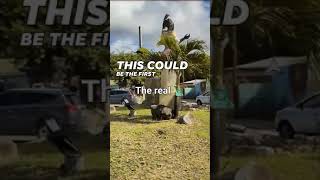 J&D on the sea #travel #statueofliberty  #carribean #cruise