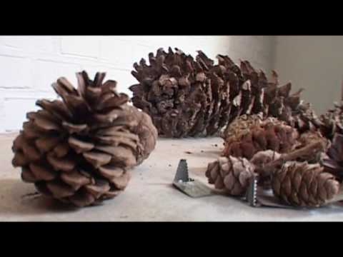 Stroese Zaterdag - Stroe - 09 juli 2016