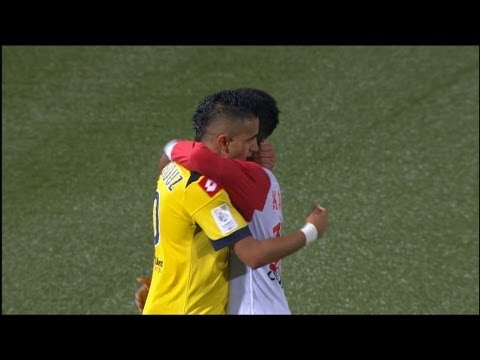 AS Nancy Lorraine - FC Sochaux-Montbéliard (1-1) - Le résumé (ASNL - FCSM) / 2012-13