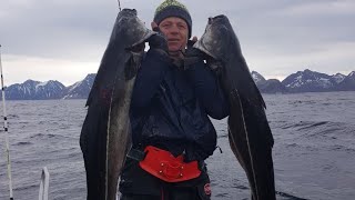 preview picture of video 'Norvegia Gryllefjord ribalca 2018'