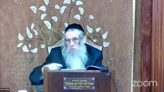 הרה"ג הרב וועכטר שליט"א י"א חשון תשפ"ה - ליקוטי שיחות חלק ט"ו פרשת נח ב חלק ג (הרב אברהם מנחם מענדל וכטר) - התמונה מוצגת ישירות מתוך אתר האינטרנט יוטיוב. זכויות היוצרים בתמונה שייכות ליוצרה. קישור קרדיט למקור התוכן נמצא בתוך דף הסרטון