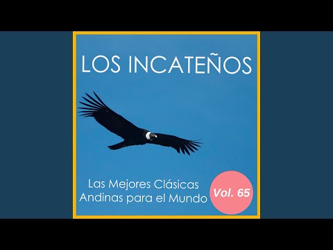 Historias De Amor - Puro Tobas