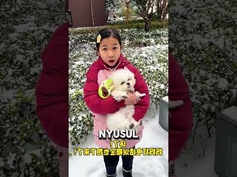 si oyen gak di ajak main salju😂