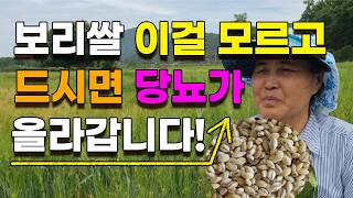 당뇨에 좋은 보리쌀은 따로 있습니다 이걸 꼭 알고 드셔야