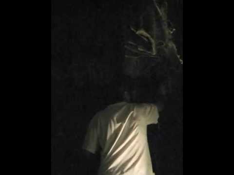 Stalagmite Concert in Vranjaca Cave