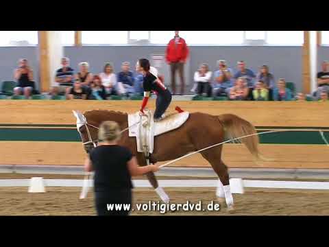 Nicole Kirbisch (AUT) - CVI3 Female 06 - CVI Ebreichsdorf 2017