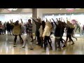 'We Will Rock You Flashmob at Ocean Terminal ...
