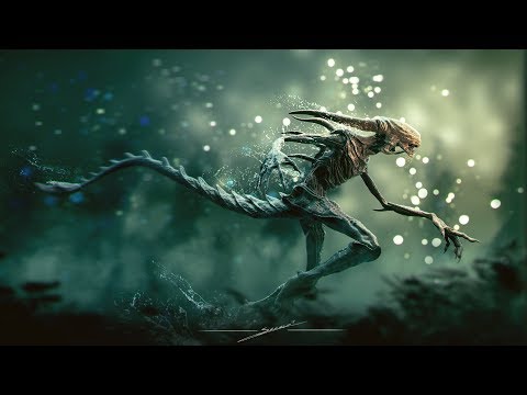 Un anno di NUTS 2016/17