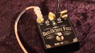 Black Cat Pedals Bass Octave Fuzz - What To Know & Where To Buy
