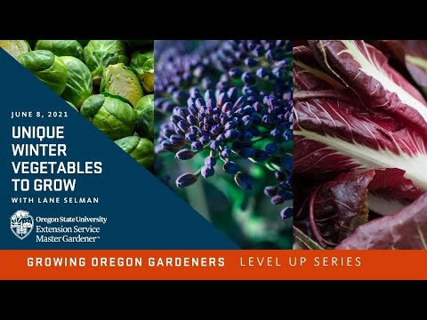 , title : 'Unique Winter Vegetables to Grow | Master Gardeners'