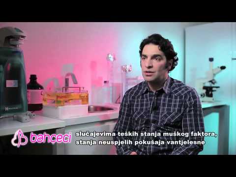 Šta je PGD? Postoje li nove metode, osim PGD-a?