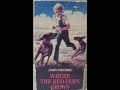 Opening To Where The Red Fern Grows 1984 VHS