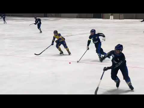 Stabæk Bandy 09 🏆 Katrineholm U15 Cup 2023