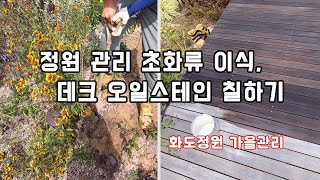 정원에 심은 초화류 이식하고 데크에 스테인 칠하기. 초화류 작게 키우는 방법까지~