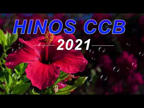 BELOS HINOS CCB 🌹 Hinário 5 🌷 Top Hinos Cantados CCB