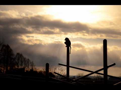 TrancEye 【Unloved】 (emotional mix) Full Ver.