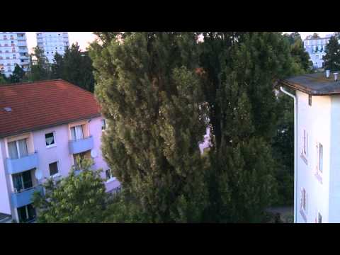 First Drone flight outside + Crash [NIBOLAL]