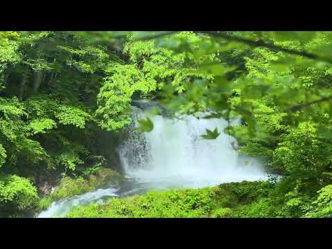 山梨県富士吉田市　広報ふじよしだ2024年6月号　動画でみるふじよしだ　Vol19