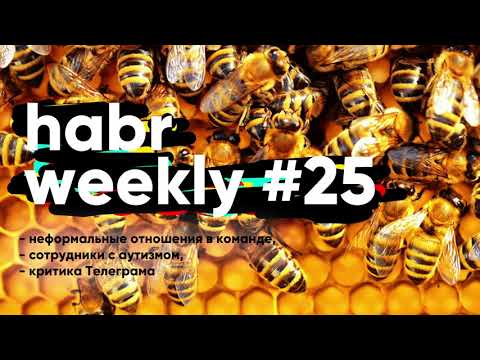 Неформальные отношения в команде, сотрудники с аутизмом и критика Телеграма