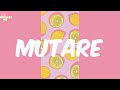 Mutare Sha Sha Lyrics