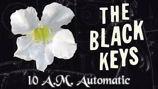 The Black Keys - 10 A.M. Automatic