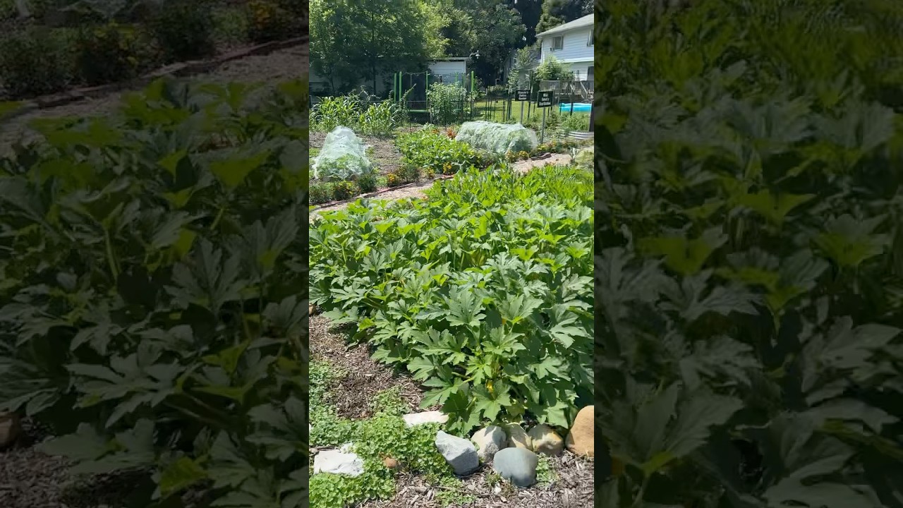 So Much BETTER! 😳