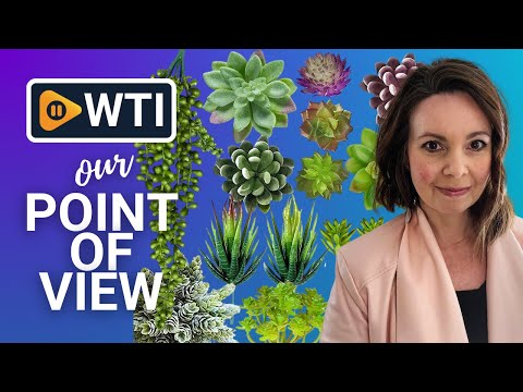 Anoak Artificial Succulent Plants - WTI product video review