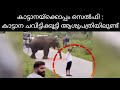 ഇനി ജന്മത്തിൽ സെൽഫിയെടുക്കില്ല കാട്�