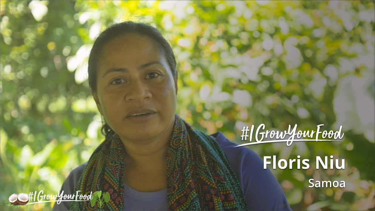 Meet Floris Niu, an organic cacao producer from Samoa 🇼🇸