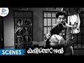 Kalithozhan Full Movie Scenes Prem Nazir Learns Truth About Sukumari Malayalam Filmnagar