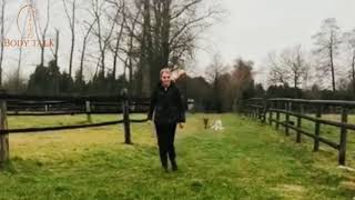Hundeschule Bodytalk - Hundeerziehung durch Körpersprache - ohne Leckerchen