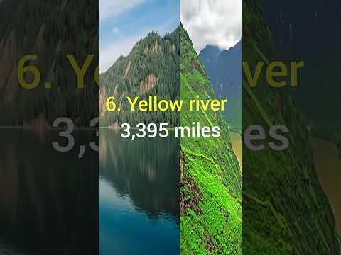 🌍 Top 10 Longest Rivers in the World | Amazing Facts & Locations | #Shorts