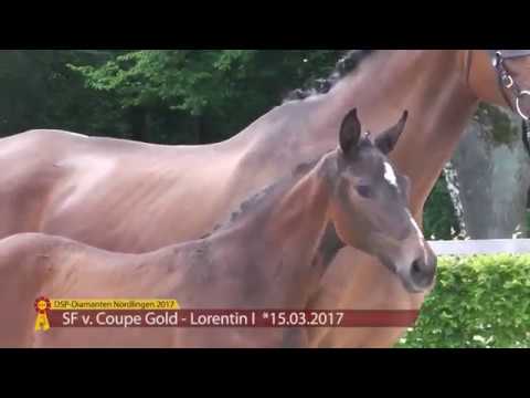 KN 22 Samira F Sf v. Coupe Gold - Lorentin