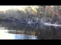 Ochlockonee River Ride (feat. Dot Allison's "Morning Sun")