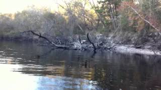 Ochlockonee River Ride (feat. Dot Allison&#39;s &quot;Morning Sun&quot;)